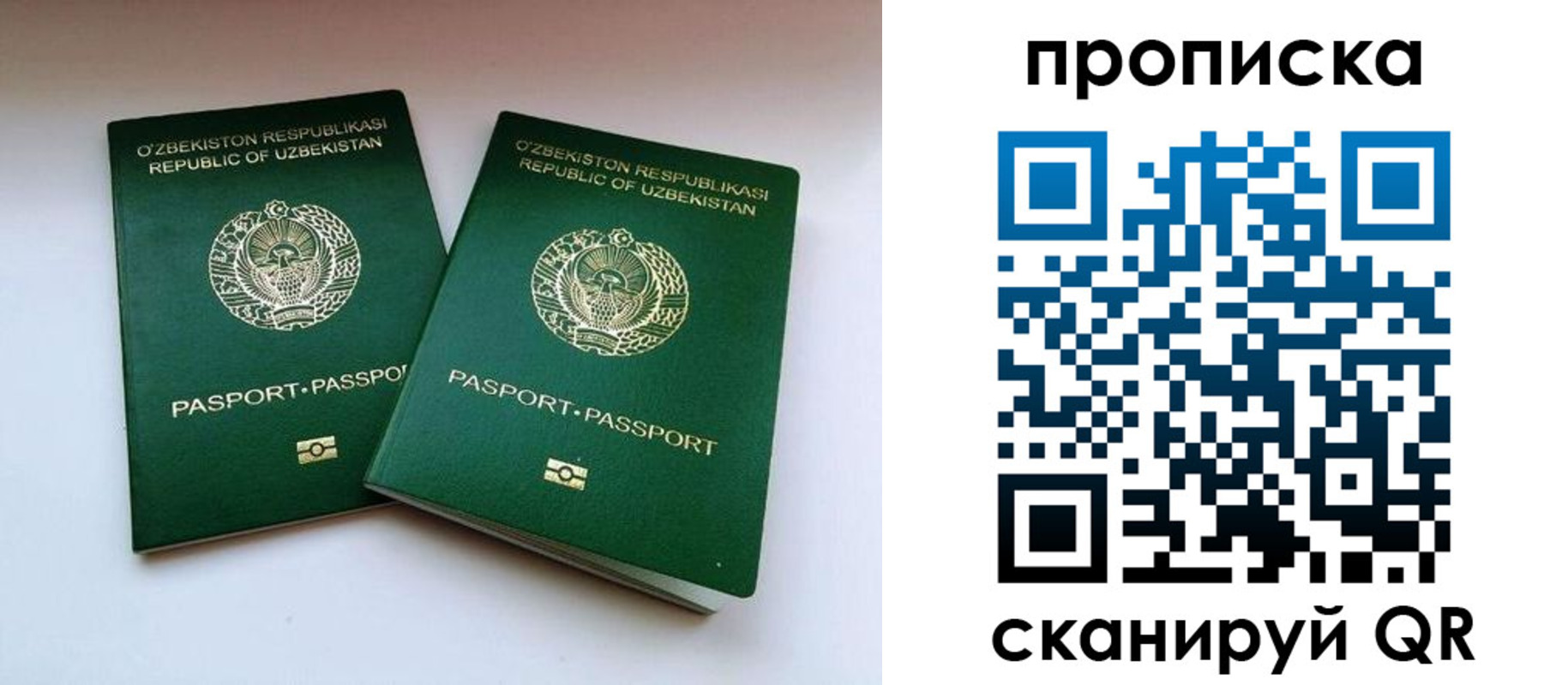 прописка поиск в Яровом